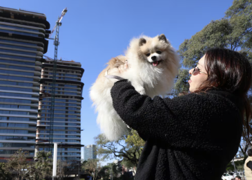 Buenos Aires: los barrios donde más fácil es alquilar si tenés mascota